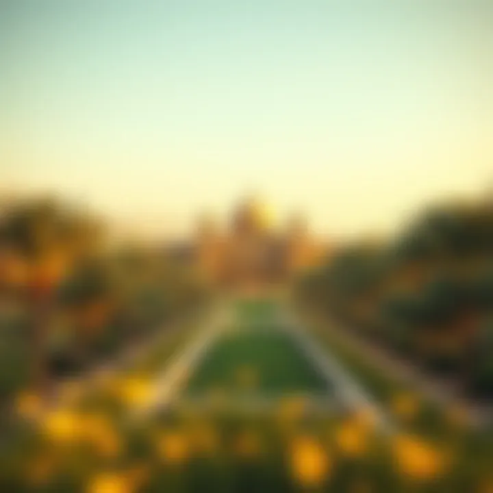 Magnificent Exploring Nad Al Shiba Gardens: A Comprehensive Guide