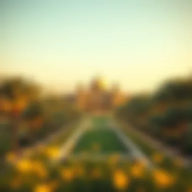 Magnificent Exploring Nad Al Shiba Gardens: A Comprehensive Guide Magnificent Exploring Nad Al Shiba Gardens: A Comprehensive Guide