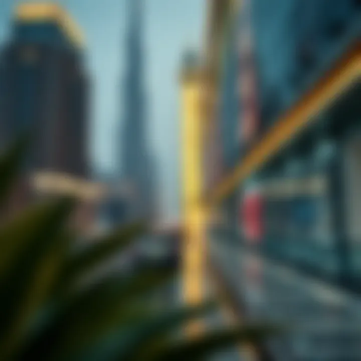Magnificent Navigating the Dubai Real Estate Market: A Guide for House Hunters
