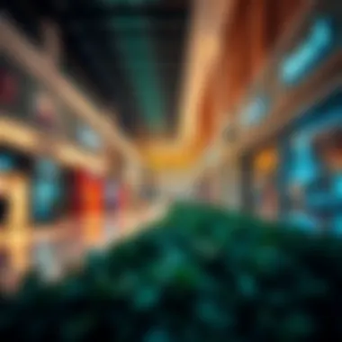Vibrant Retail Spaces at Damac Hills Mall Vibrant retail spaces within Damac Hills Mall inviting shoppers