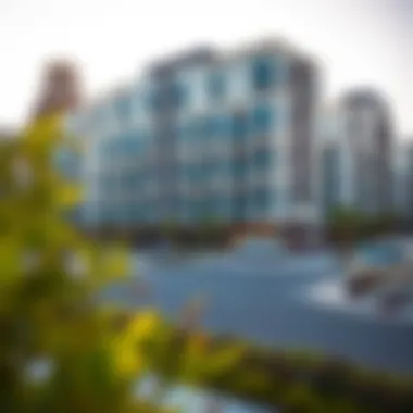 Contemporary residential development in Al Maktoum City with modern amenities