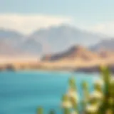 Scenic view of Fujairah's coastline showcasing the turquoise waters and rugged mountains