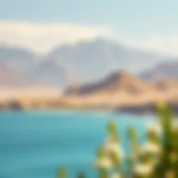 Scenic view of Fujairah's coastline showcasing the turquoise waters and rugged mountains