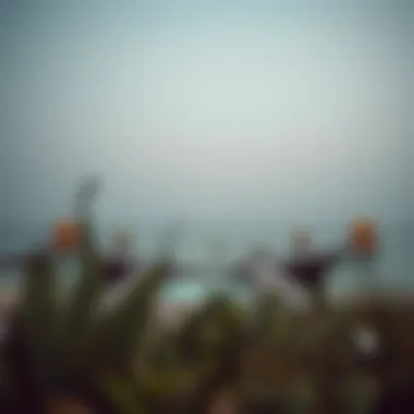 Exploring Hudariyat Island: A Comprehensive Guide Summary