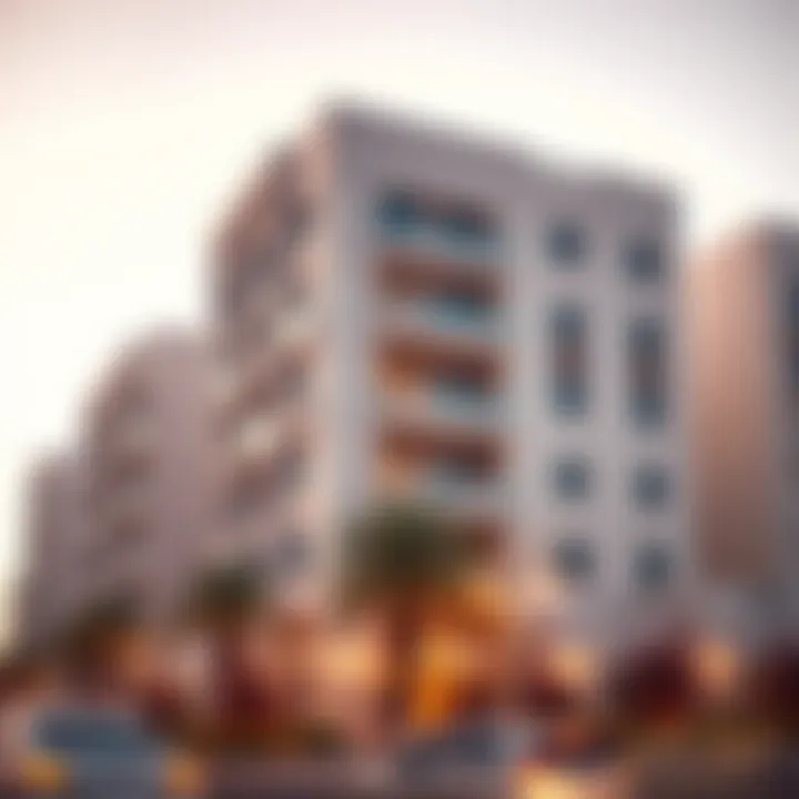 Modern residential developments in Marabit Al Dhafra attracting investors