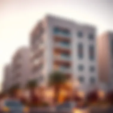 Modern Residential Developments in Marabit Al Dhafra Modern residential developments in Marabit Al Dhafra attracting investors