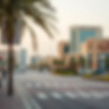 Al Qusais Commercial Landscape Overview of Al Qusais commercial district