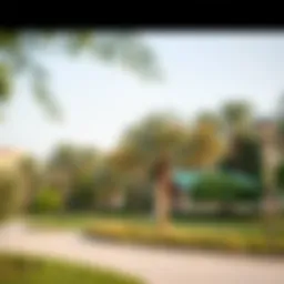 Lush greenery in Dubai's Al Barsha Park