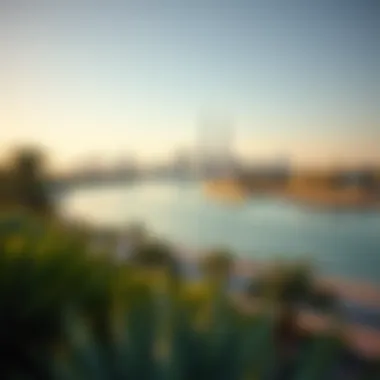 Dubai Creek Park: Where Nature Meets Urbanity Scenic view of Dubai Creek Park with skyline