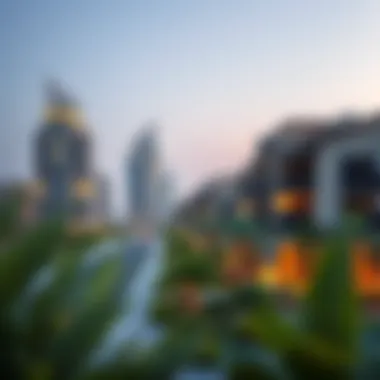 Community Overview of Dubai Investment Park Overview of Dubai Investment Park community