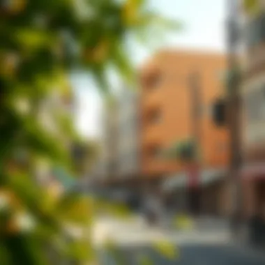 Vibrant Neighborhood in Dubai A vibrant neighborhood in Dubai bustling with life and culture