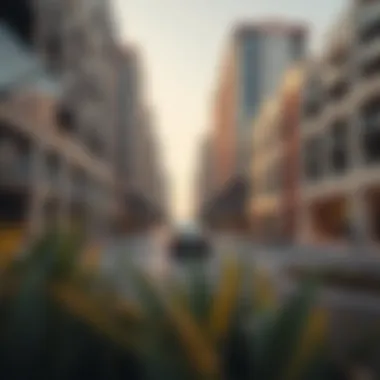 Exploring the Arjan Area: A Comprehensive Guide to Dubai's Emerging Suburb Summary Exploring the Arjan Area: A Comprehensive Guide to Dubai's Emerging Suburb Summary