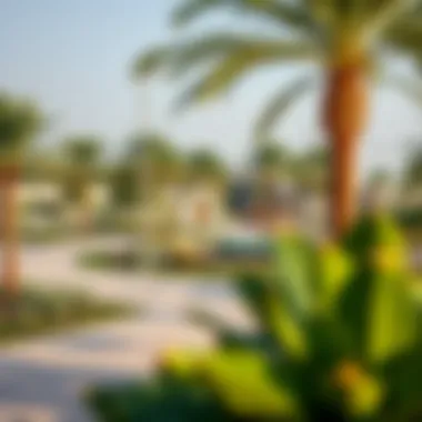 Amenities in Tilal Al Ghaf Illustration of amenities like parks and recreational areas in Tilal Al Ghaf