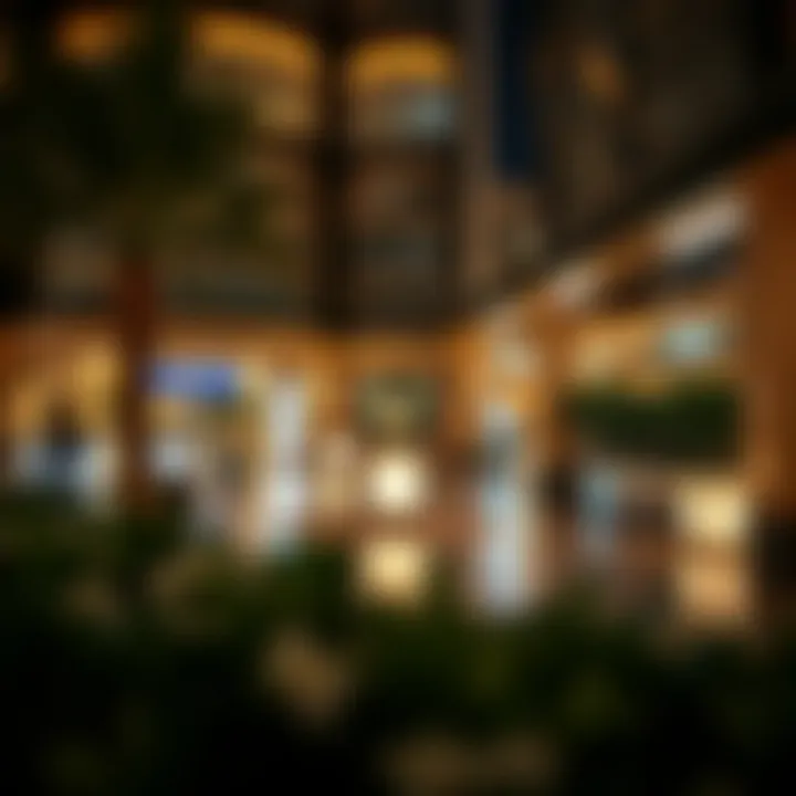 Exploring TownSquare Dubai: A Comprehensive Overview Summary