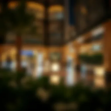 Exploring TownSquare Dubai: A Comprehensive Overview Summary Exploring TownSquare Dubai: A Comprehensive Overview Summary