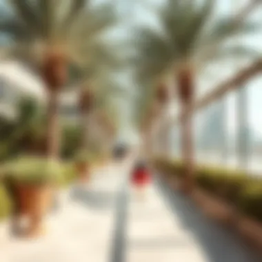 Family-Friendly Tourist Attractions in Dubai Introduction