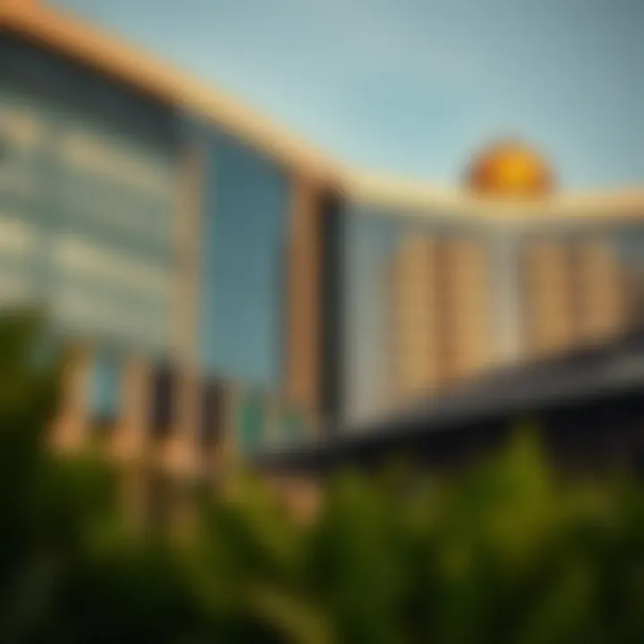 Sharia-compliant financial products in the UAE