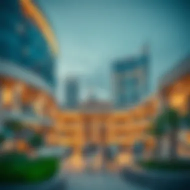 Notable Navigating the Freelancer Visa Landscape in Dubai