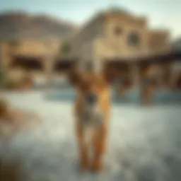 Ras Al Khor Wildlife Sanctuary: An Insightful Journey into Ticket Prices and Experience Introduction