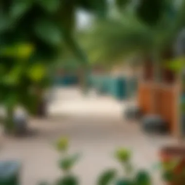 Ras Al Khor Wildlife Sanctuary: An Insightful Journey into Ticket Prices and Experience Summary Ras Al Khor Wildlife Sanctuary: An Insightful Journey into Ticket Prices and Experience Summary