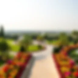 A panoramic view of Umm Emarat Park showcasing its lush greenery and vibrant flower beds.