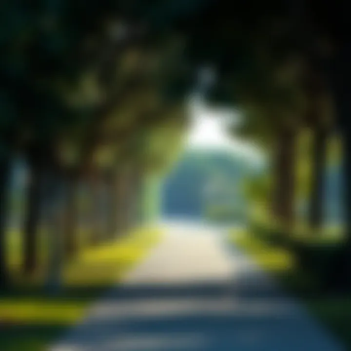 Scenic Pathway for Leisurely Strolls A tranquil pathway lined with trees in Umm Emarat Park, ideal for a leisurely stroll.