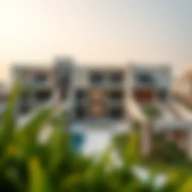 Understanding How to Check Your Visa Status in the UAE Summary